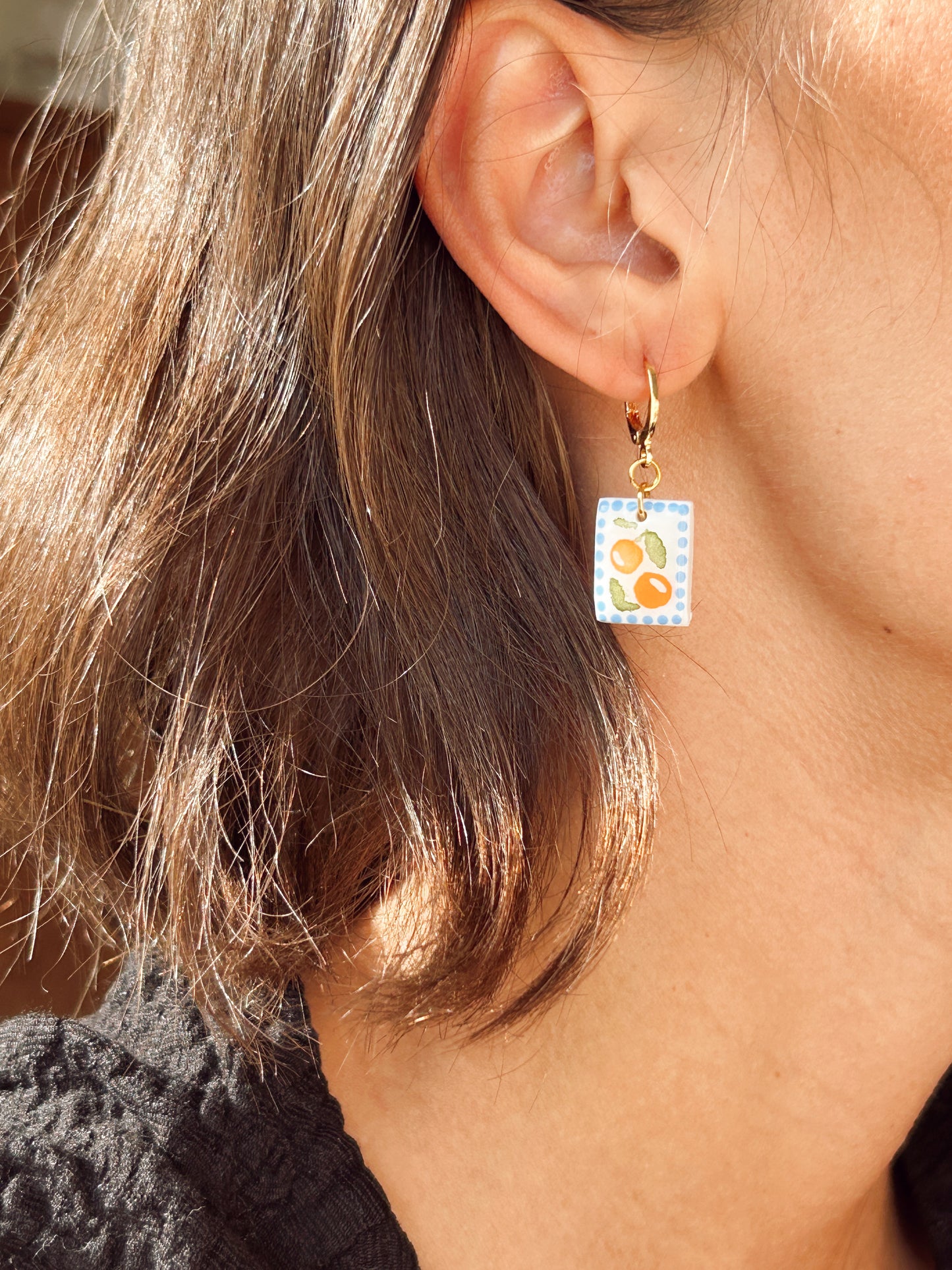 Postcards From Florida Huggie